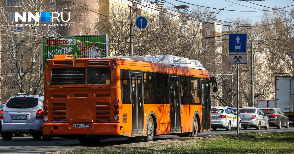 Автобус 203 правдинск нижний новгород